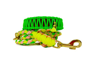 Flower Collection - Neon Daisy Halsband