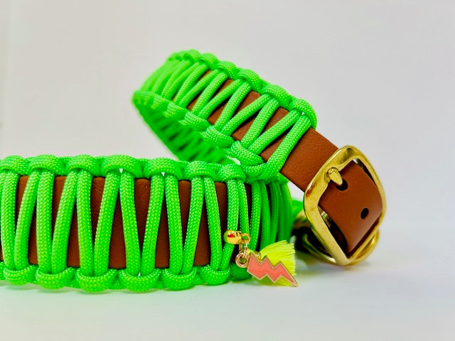Flower Collection - Neon Daisy Halsband