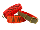 Neon Orange Classic collar