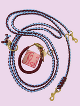 Burgund trifft auf Blue Leash