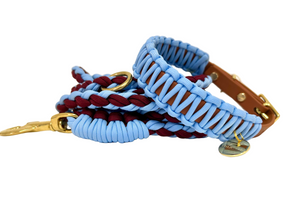 Col classique Bleu Clair