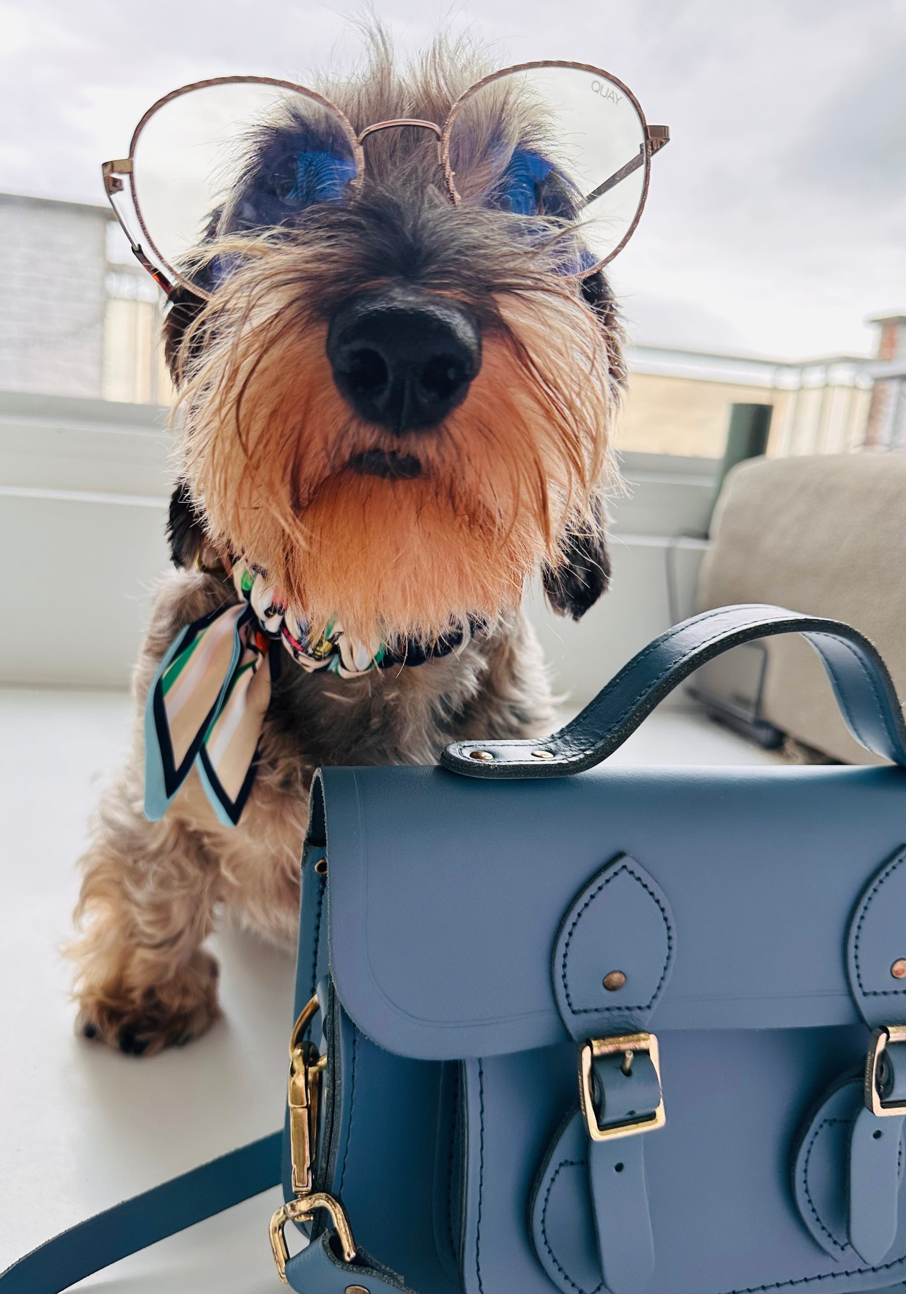 Lilly Dark Blue halsband