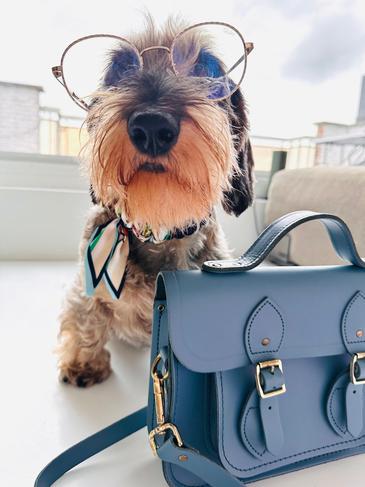 Lilly Dark Blue halsband