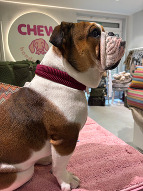 V-Woven Burgundy collar