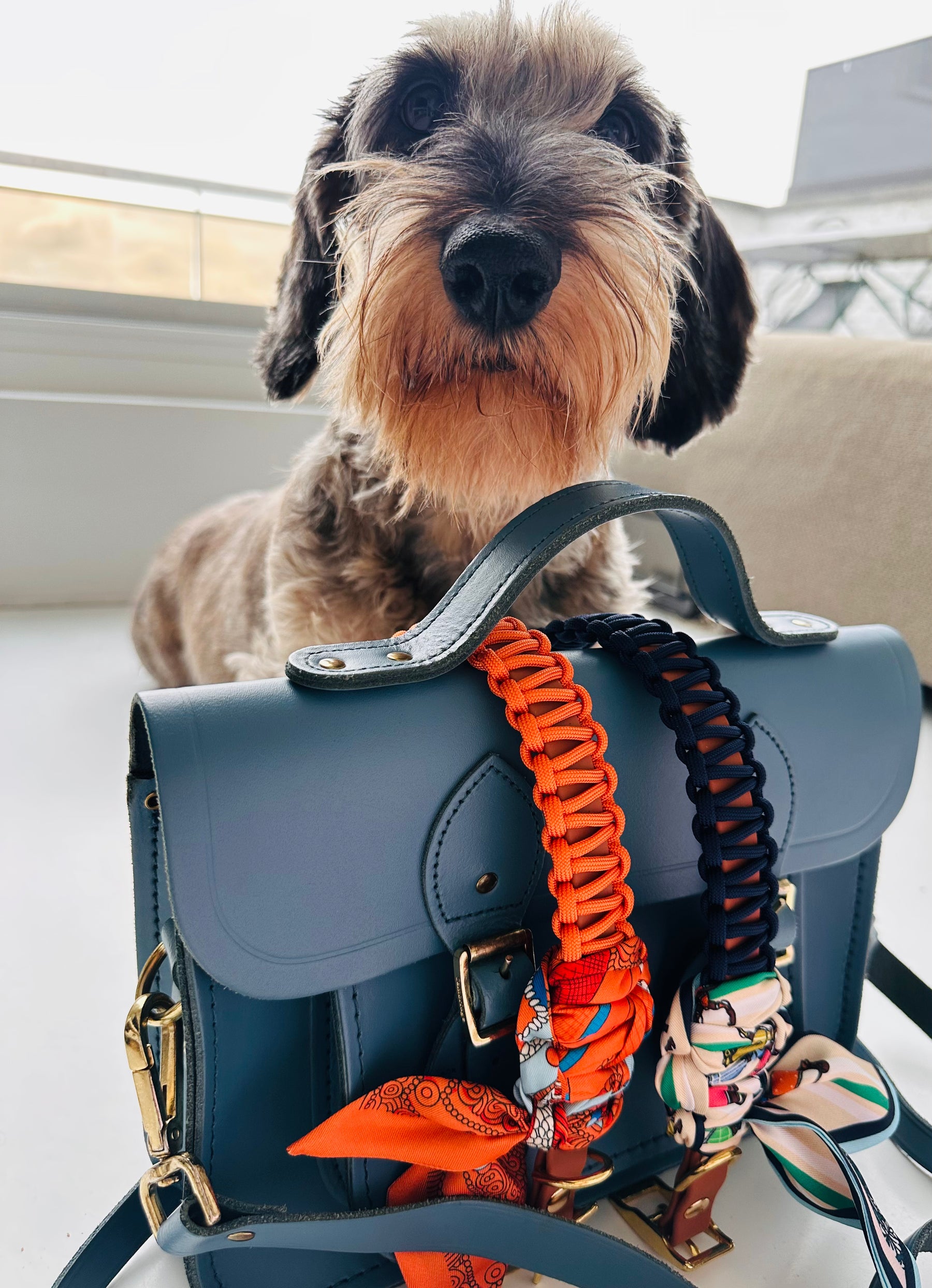 Lilly Dark Blue halsband