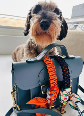 Lilly Apawrol halsband