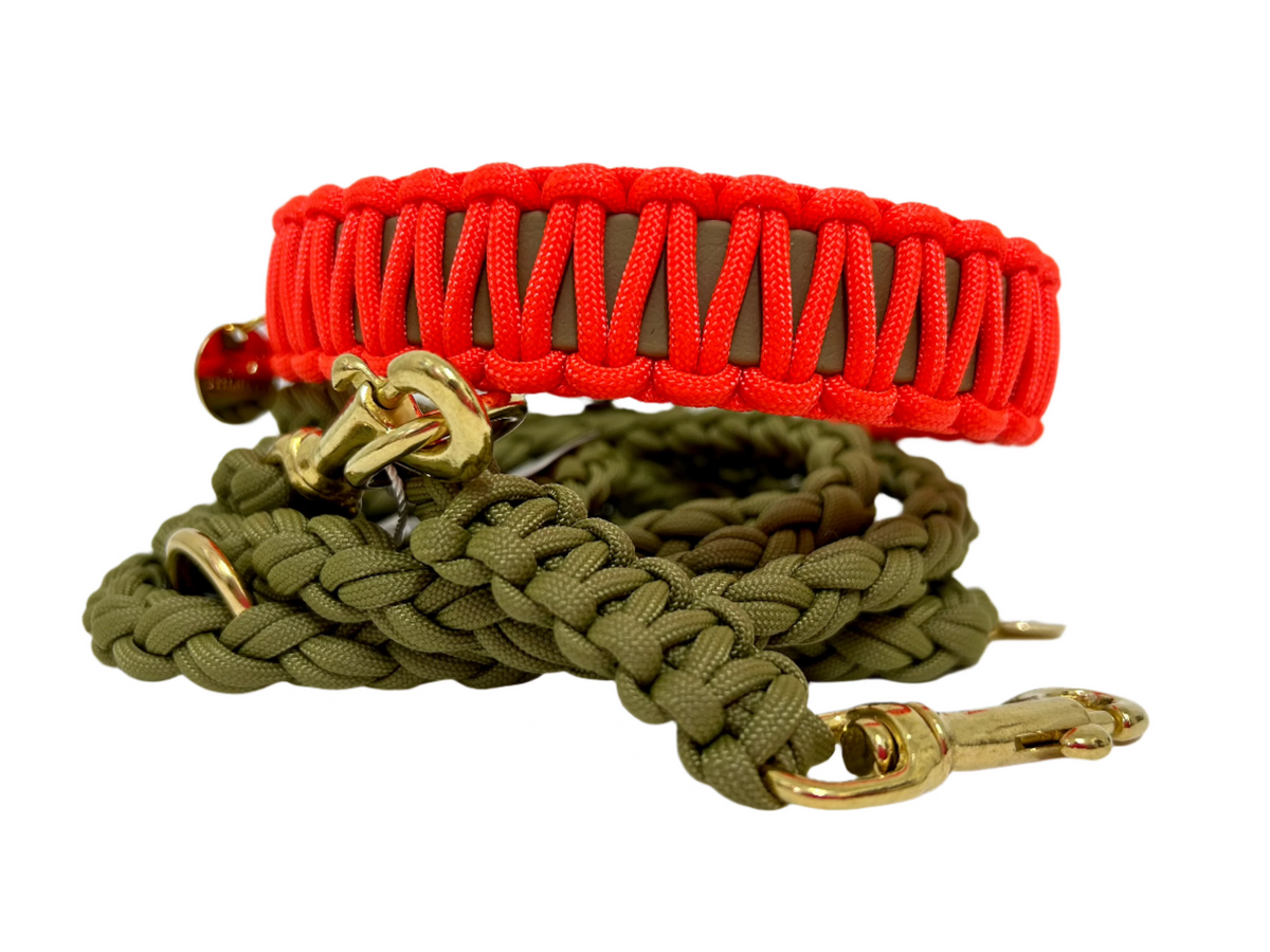 Neon Orange Classic collar