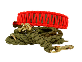 Neon Orange Classic collar