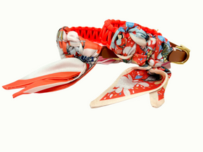 Flower Collection - Lilly Orange