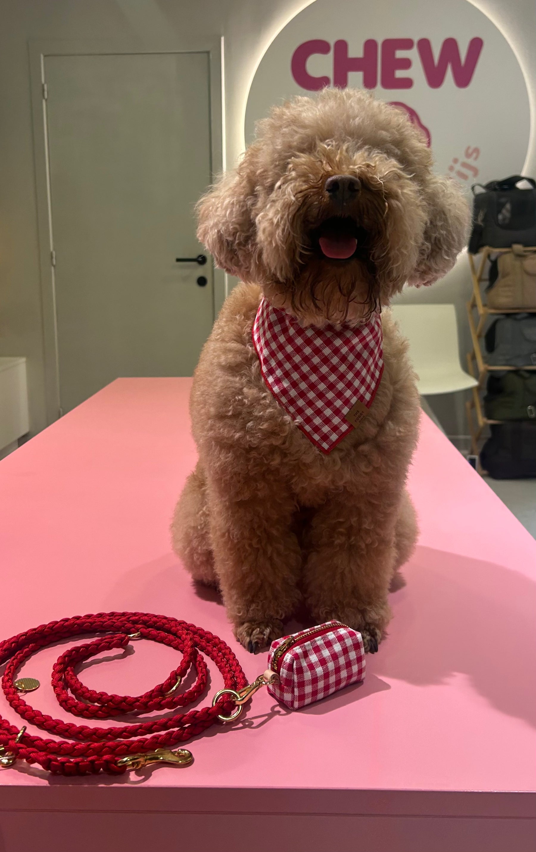 Gingham red poepzakhouder