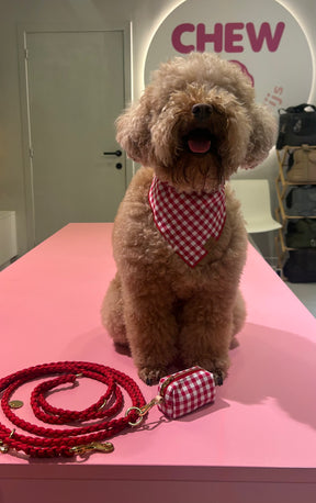 Gingham red poepzakhouder