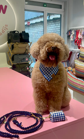 Gingham blue bandana