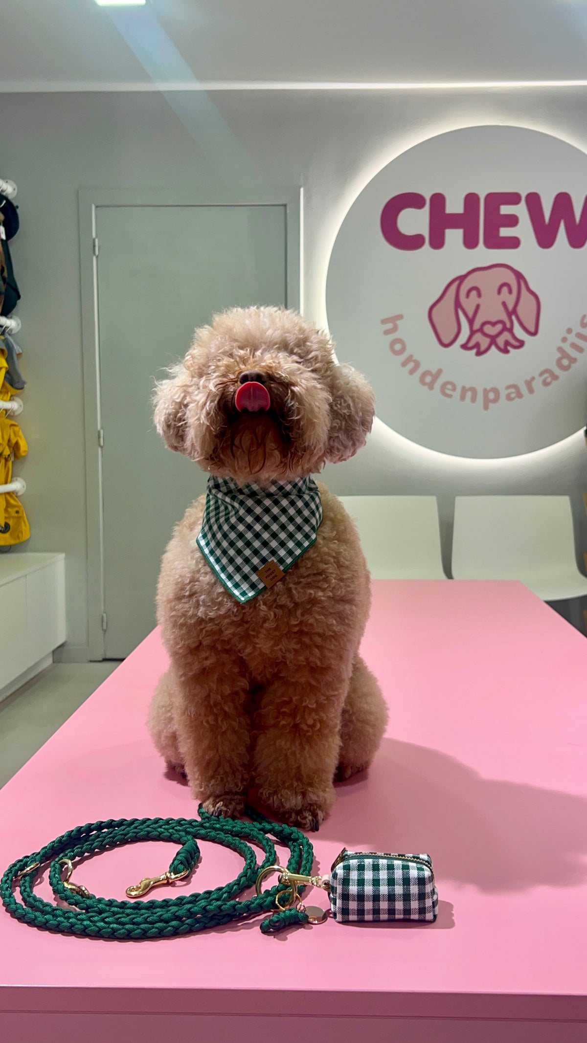 Gingham green bandana