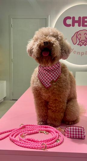 Gingham pink poepzakhouder