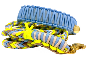 Ocean classic collar