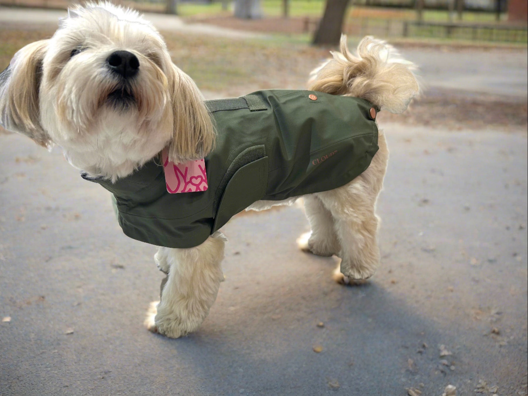 Dog Raincoat Lewis Olive - Limited Edition