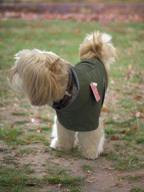 Dog Raincoat Lewis Olive - Limited Edition
