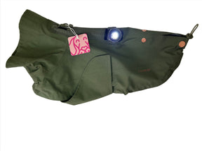 Dog Raincoat Lewis Olive - Limited Edition