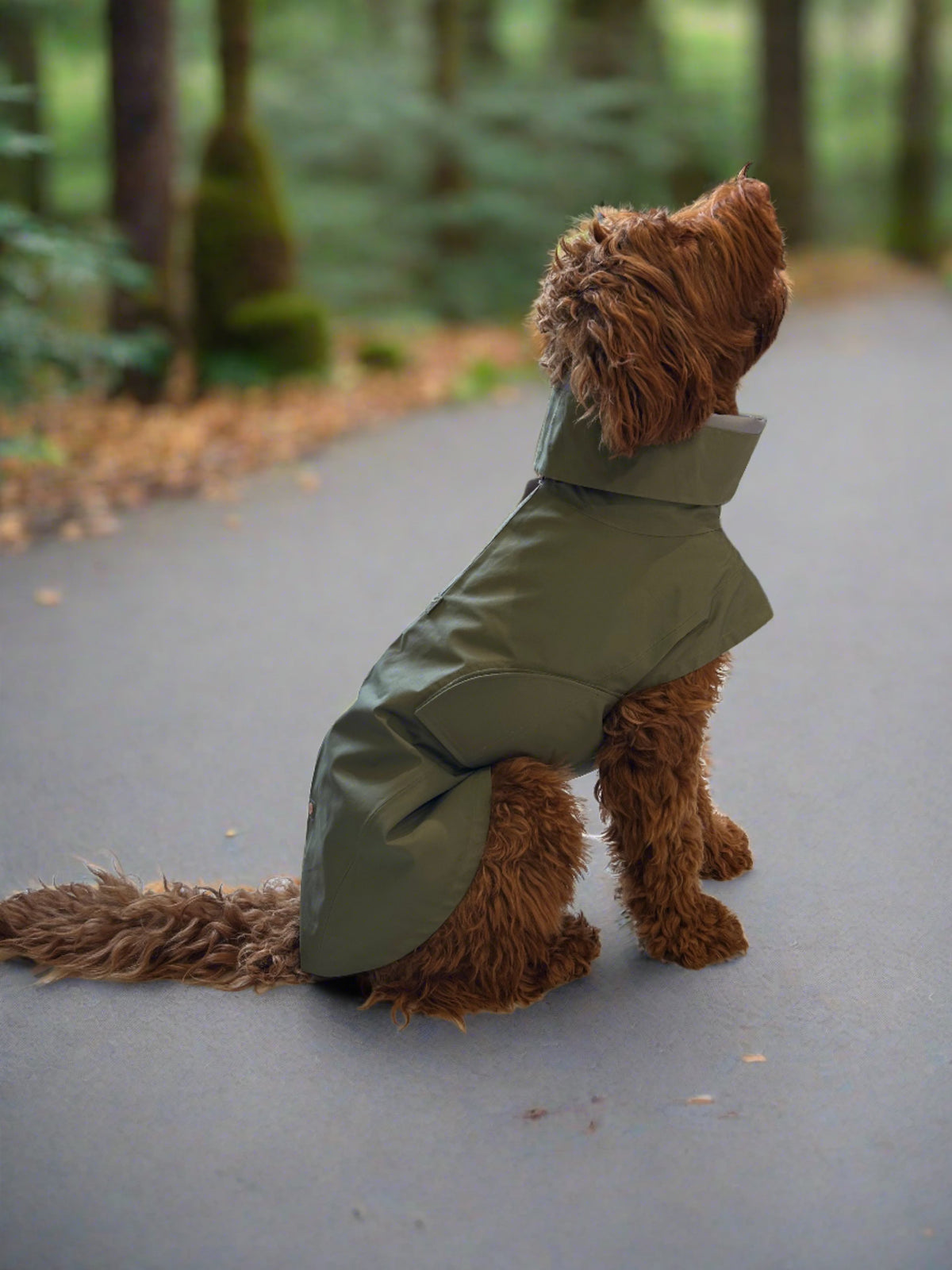 Dog Raincoat Lewis Olive - Édition limitée