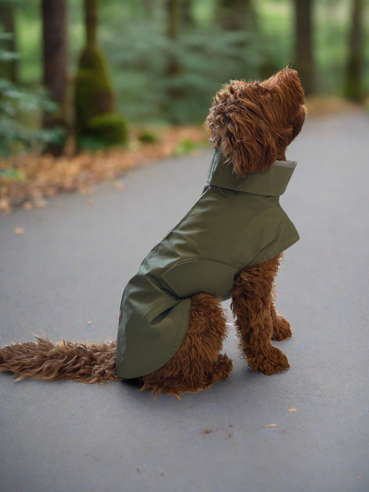 Dog Raincoat Dublin Dark Olive