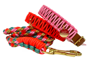 Rosa Classic collar