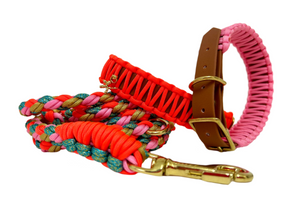Rosa Classic collar