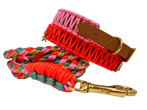 Rosa Classic collar