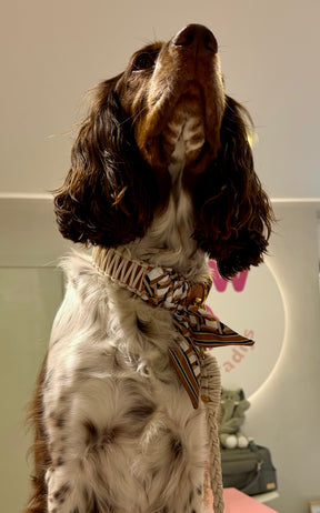 Riviera collection - Lilly Cinque Terre halsband