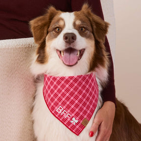 Heather Taylor Home x TFD Katherine Plaid Valentine bandana