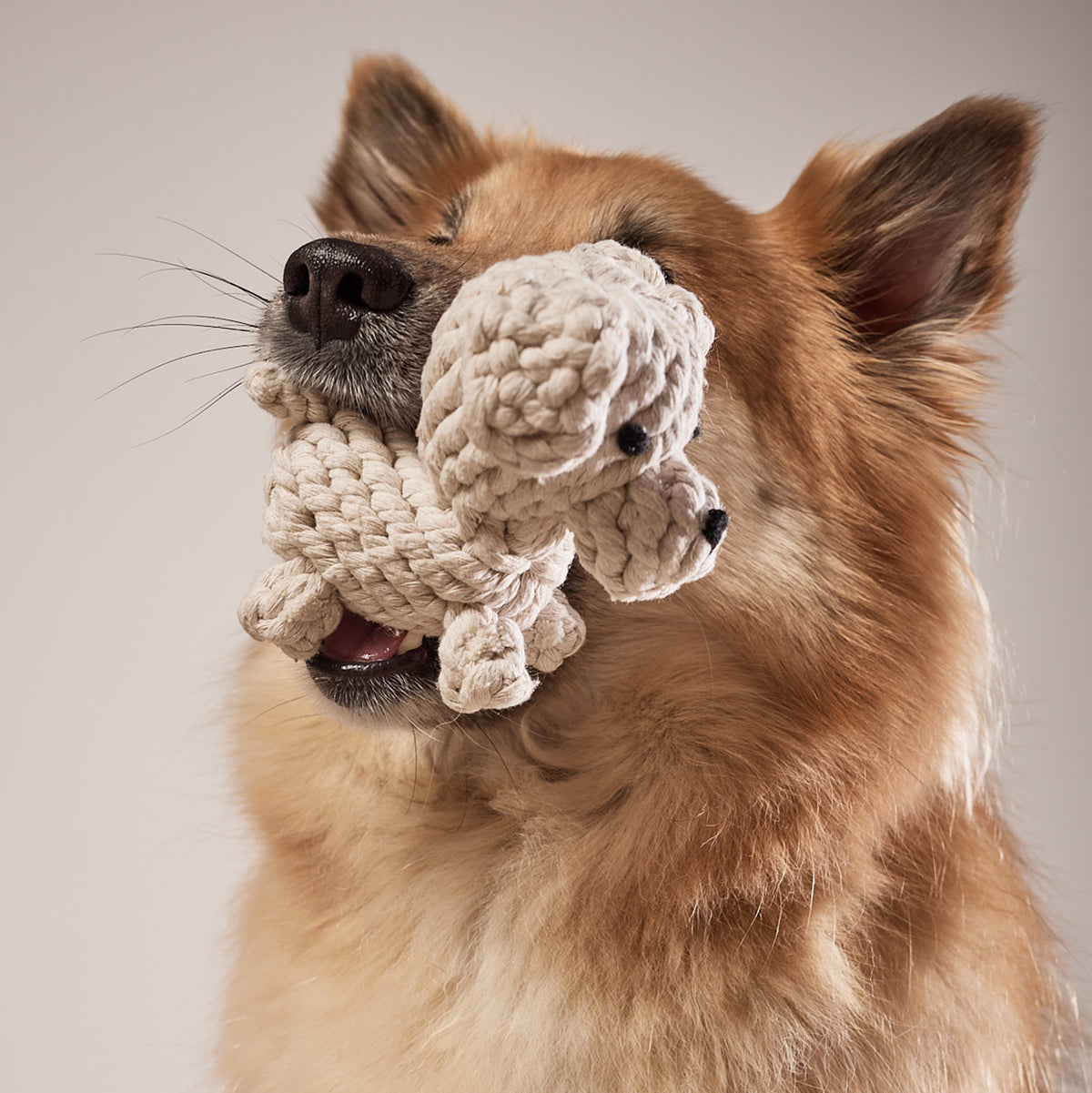 Retriever rope