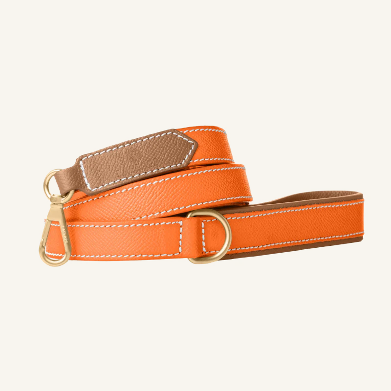 Tangerine Touch Leiband