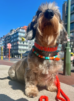 Paracord Classic Neon Orange Extra Long