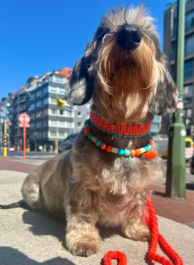 Paracord Classic Neon Orange Extra Long