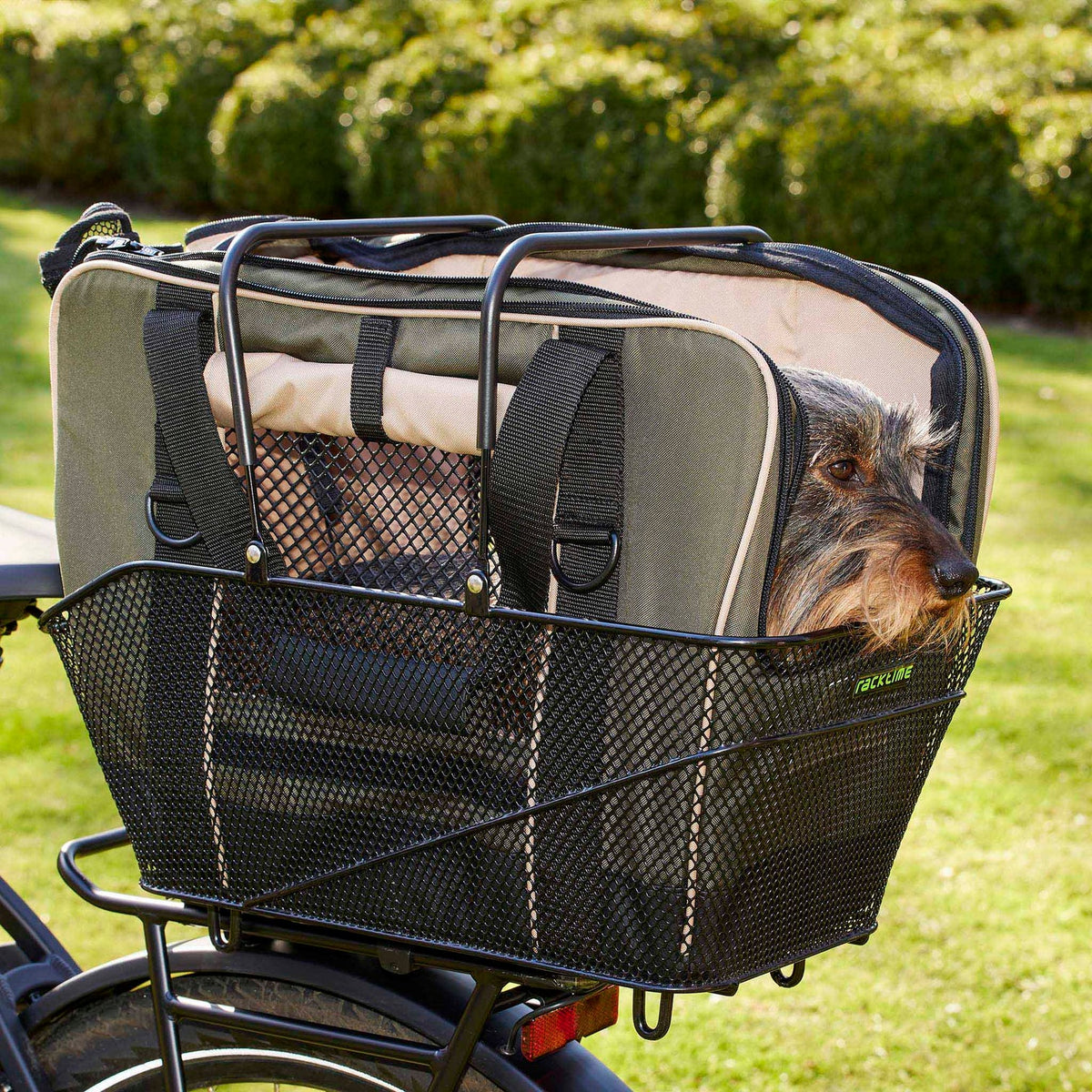 Dog Carrier - Let's bicycle together