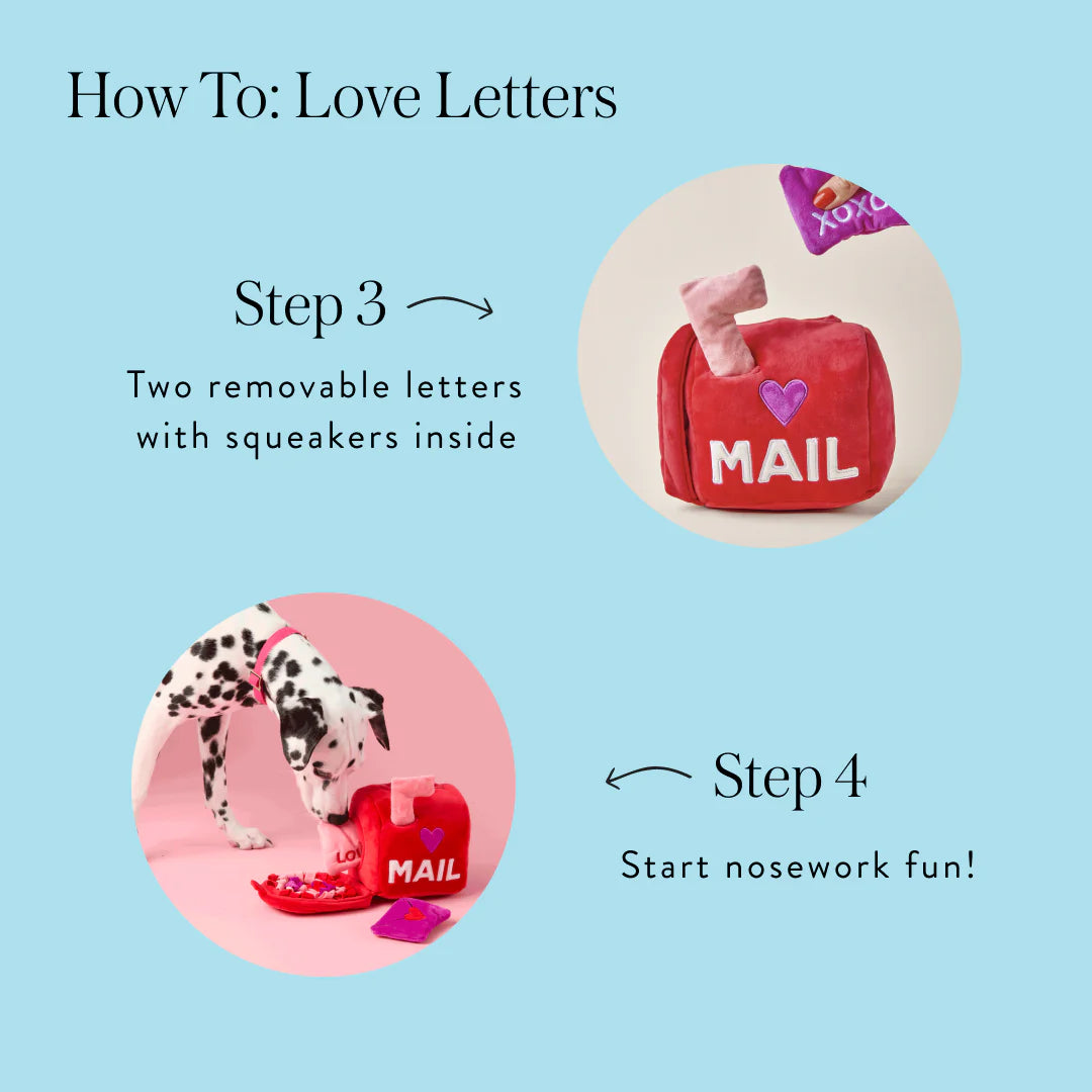 You got mail - love box