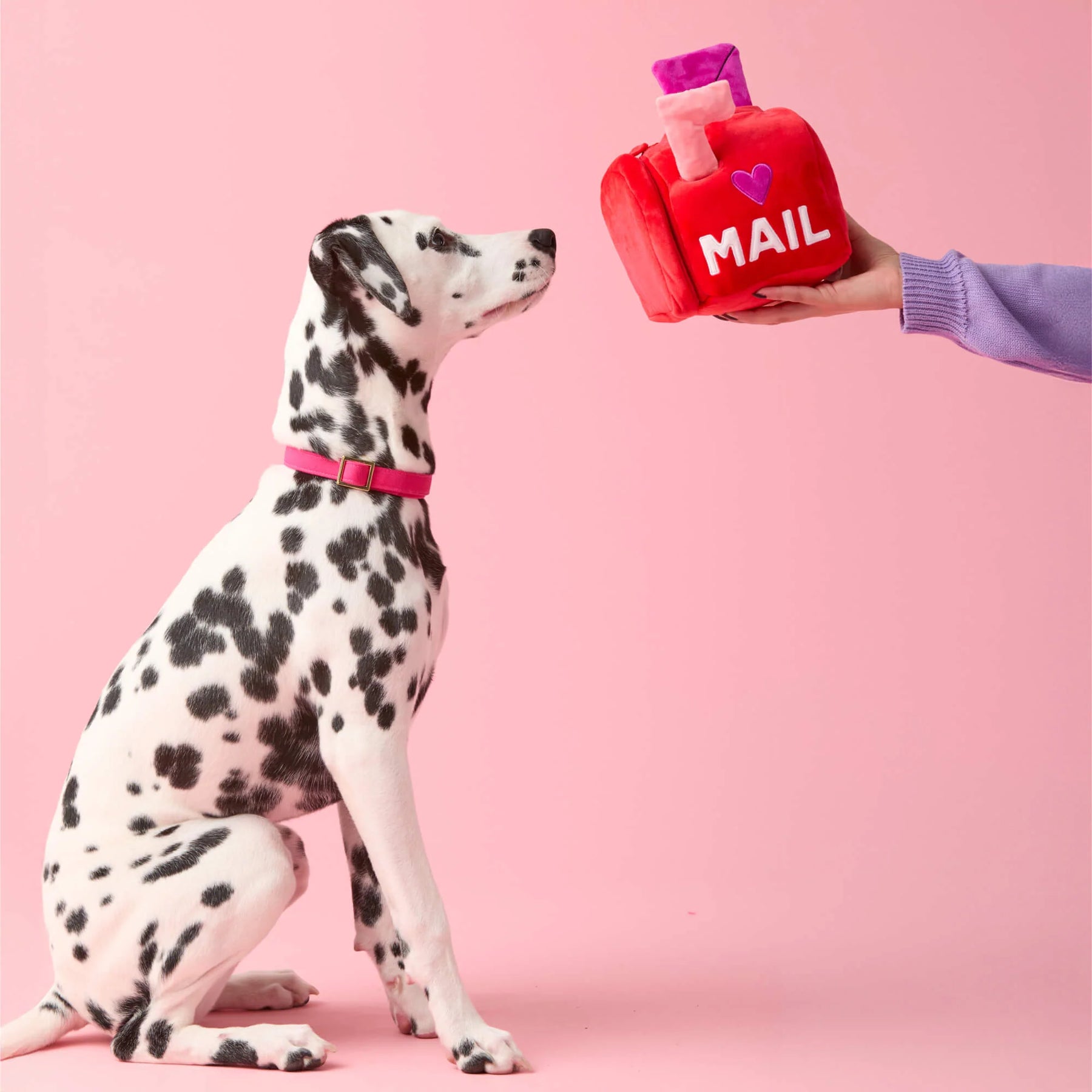 You got mail - love box