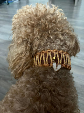 Champagne collar