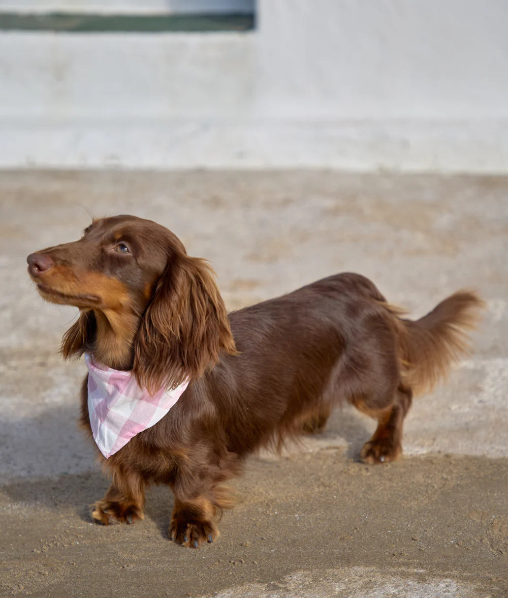 Bandana Gingham pink
