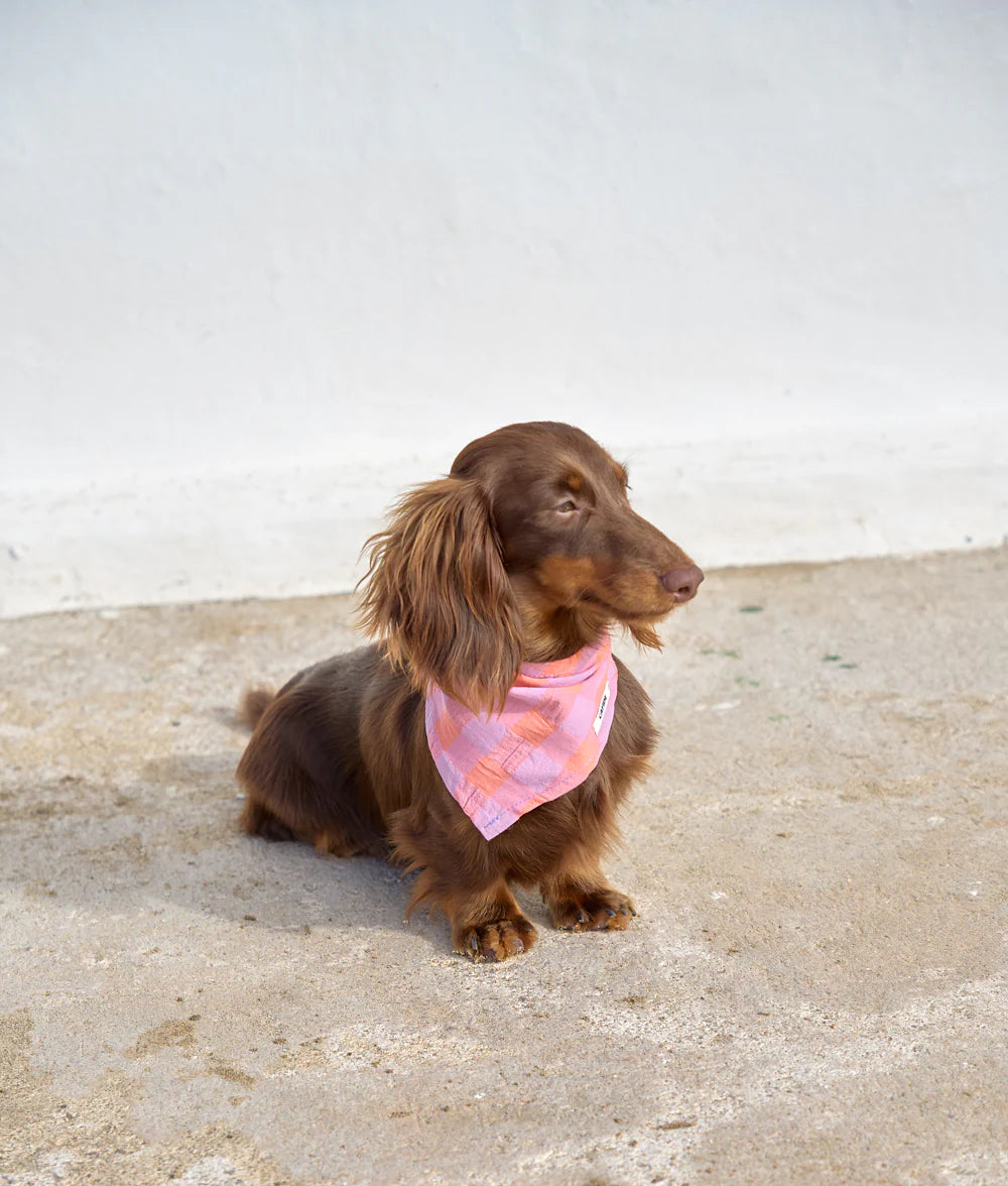 Bandana Gingham Violet
