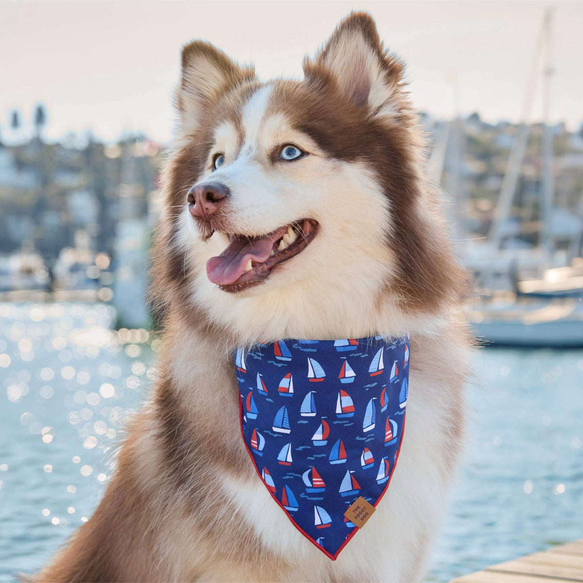 Regatta bandana