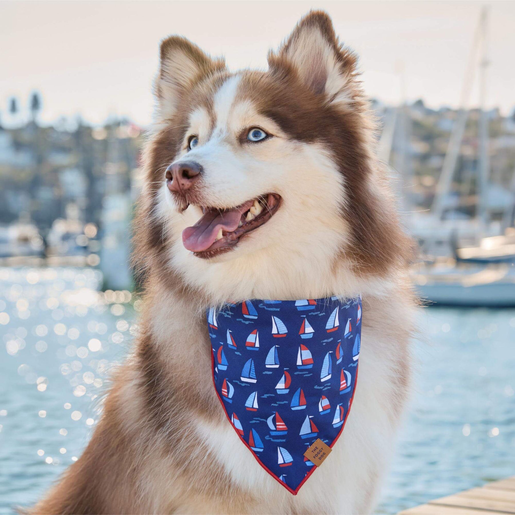 Regatta bandana