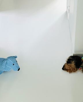 Milos - Deckel Toy - Door stop