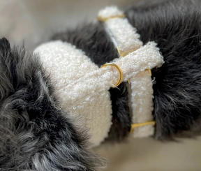 Autumn Collection - Soft harnas Teddy White Pepper