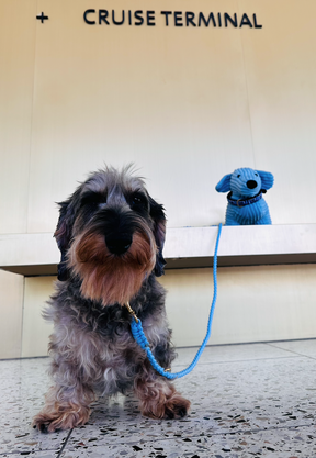 Milos - Deckel Toy - Door stop