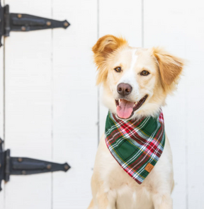 Holly Jolly plaid flannel bandana