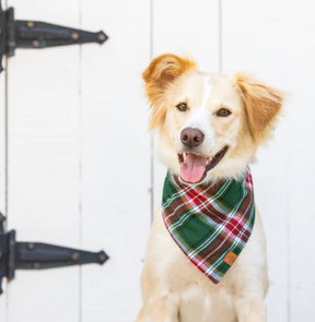 Holly Jolly Plaid Flannel Bandana