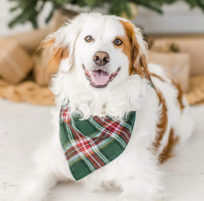 Holly Jolly plaid flannel bandana