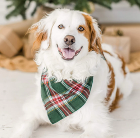 Holly Jolly Plaid Flannel Bandana