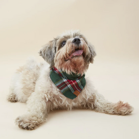 Holly Jolly plaid flannel bandana