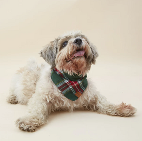 Holly Jolly Plaid Flannel Bandana